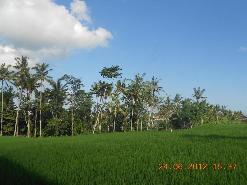 Villa Jasmine B&B Ubud Rum bild