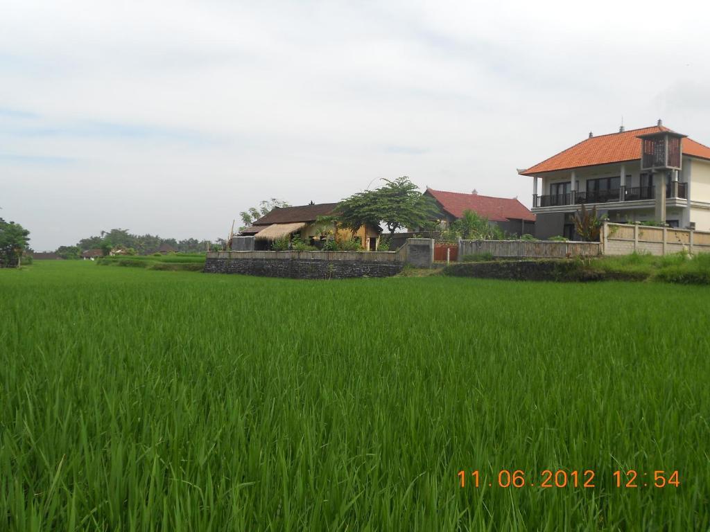 Villa Jasmine B&B Ubud Exteriör bild