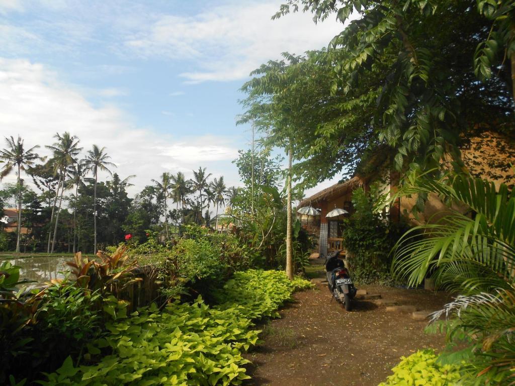 Villa Jasmine B&B Ubud Exteriör bild